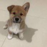如此而已