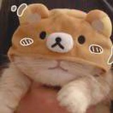 。.`