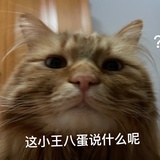 肉松松不开心