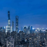 树洞在哪儿
