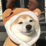魏什么这么好看
