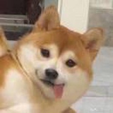 呕呕呕呕