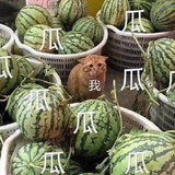美得像只鸡