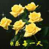 杨柳依依