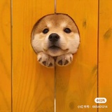 哈哈哈