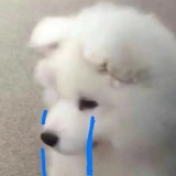 东京仿生碳