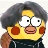 狳鸦