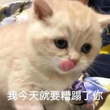 炎炎