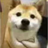 Dogboss