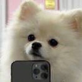 A闰土批发猹总