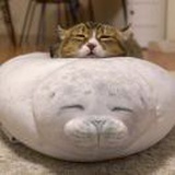 。
