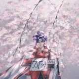 神之子的大丽花