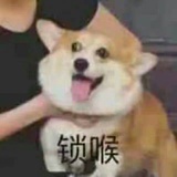 磕技人