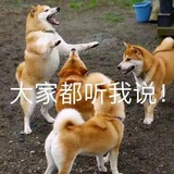 不敢用大名嗑cp