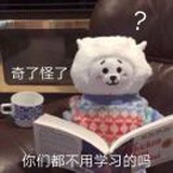 宋树立