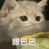 啊啊啊