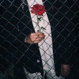 文渊教主