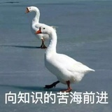 微博逃离的憨憨