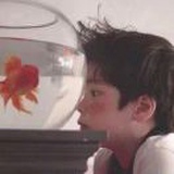 柠檬男孩