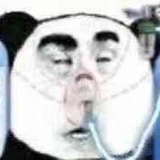 丹丹子