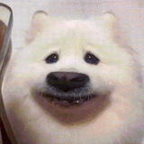 天灵灵地灵灵