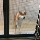 也无风雨也无晴