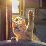 牧之