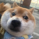 …