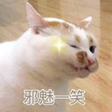 啵啵玛奇朵