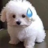 吃不完-