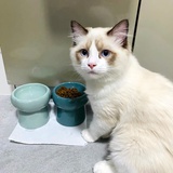 浆糊骗子