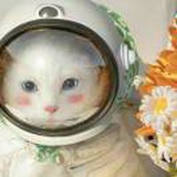 你生命里的宇hhh