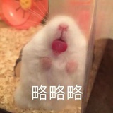 月亮神