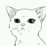 猫子