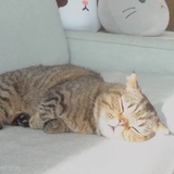 卡尔玛吃小孩