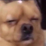 dmjhfgmkb4