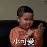 可以为以