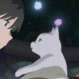 猫捡球