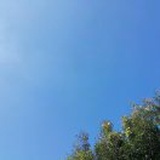 时年