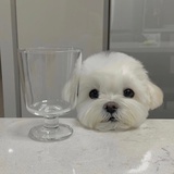 绿小葵