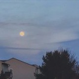 王康