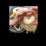 甩鸭子