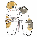 顾南书