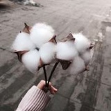 最后一块拼图