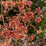 洲姐看世界