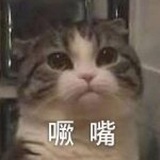 百里毁约
