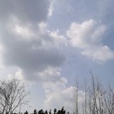什么名字号呢