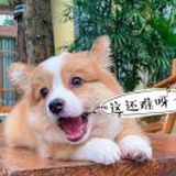 静水深流