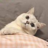 渴望自然醒