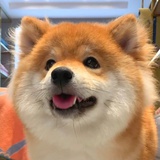 望舒